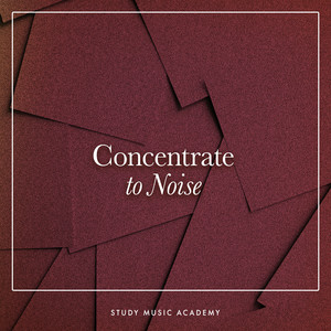 Concentrate to Noise