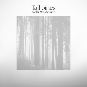 Tall pines by Nohr Waldemar
