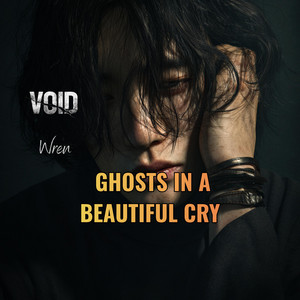 GHOSTS IN A BEAUTIFUL CRY by VOID Project