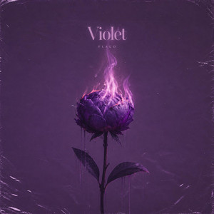 Violet by FLACO