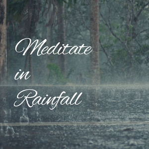 Meditate in Rainfall album