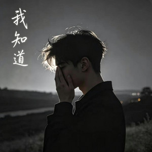 我知道 (R&B) 男生 情绪 翻唱版 by Alex-听听音乐