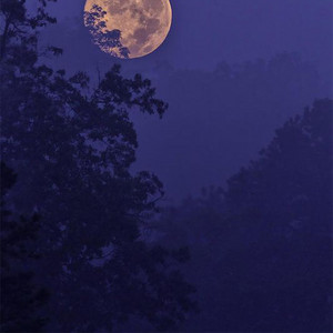 K Minor - Infinite Dreams