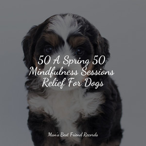 50 A Spring 50 Mindfulness Sessions Relief For Dogs album