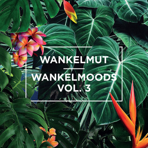 Wankelmoods, Vol. 3 album