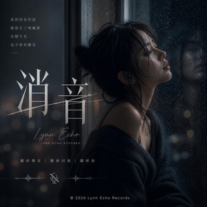 消音 by Lynn Echo