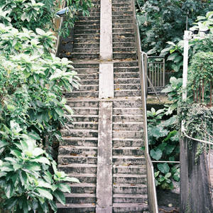 Steps of the Conservatory by Stars Of St. Petersburg