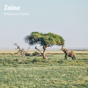 Zainah by Bleature Kasidi Official Audio Prod by - song and lyrics ...