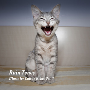 Rain Tones: Music for Cats to Relax Vol. 1 album