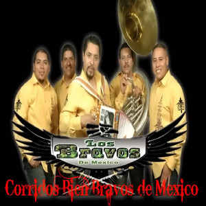Los Bravos de Mexico - El Panteon de los Vivos