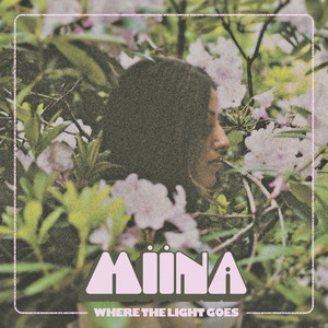 Celebration by MIINA