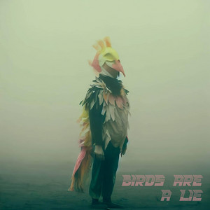 Birds Are A Lie