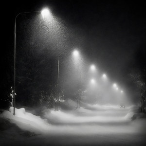 Sasha FL - Winter