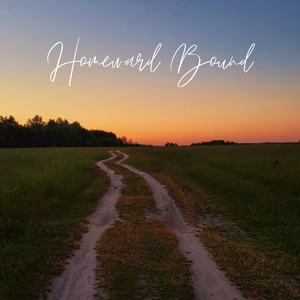 Homeward Bound by Anthony Messini, Lucas Bakker