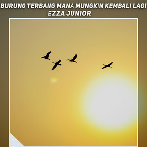 burung terbang mana mungkin kembali lagi by Ezza Junior