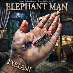 Eyelash by Elephant Man