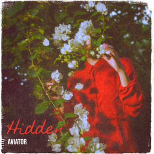 Hidden