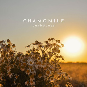 Chamomile