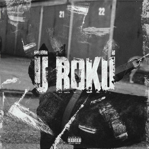 U roku - Ri Remix by Briladoh, Ri
