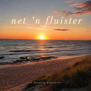 Net 'n fluister