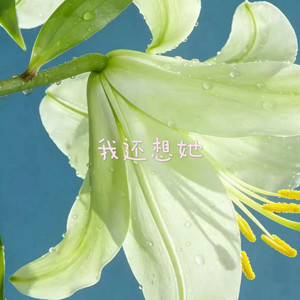 我还想她 by 落日微笑