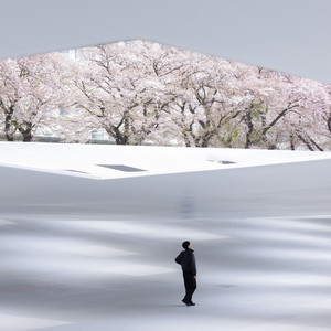 Hanami by Charles Cariou