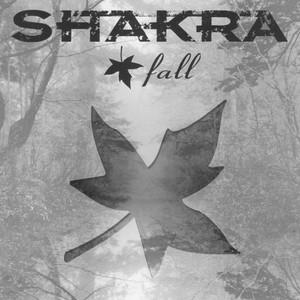 Make It Alright by Shakra
