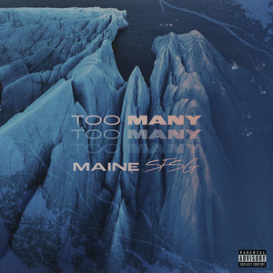 Too Many by Maine SFSG