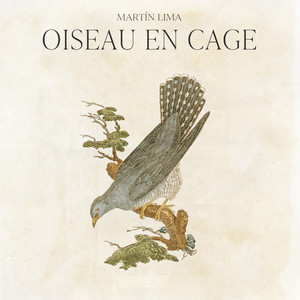 Oiseau En Cage by Martín Lima