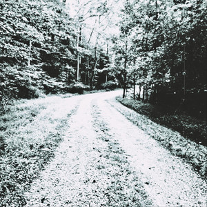 I Go on a Walk by Charl Ry