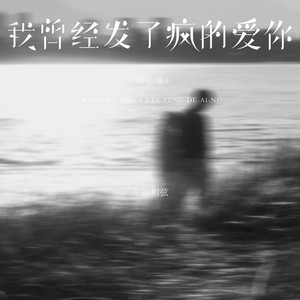 我曾经发了疯的爱你 - 痛心版 by 万能和弦