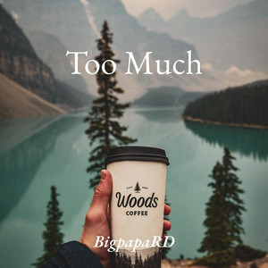 Too Much by BigpapaRD