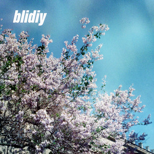 blidiy — Наздоганяючи смерть
