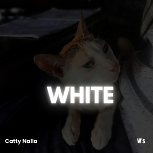Nalla (Koto Slowed) by Catty Nalla