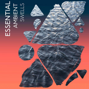 zZz Essential Ambient Swells zZz album