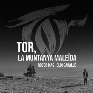 Tor, la Muntanya Maleïda
