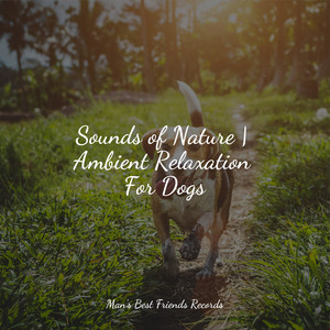 Sounds of Nature | Ambient Relaxation For Dogs album