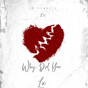 Why Did You Lie by Zir