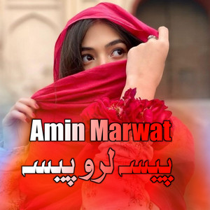 Amin Ullah Marwat - Paisa Laro Paisa