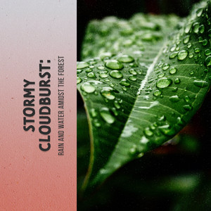 Stormy Cloudburst: Rain and Water Amidst the Forest album
