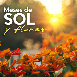 Meses de sol y flores