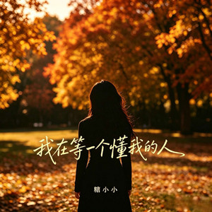 我在等一个懂我的人 - 深情版 by 糖小小
