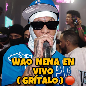 Wao Nena En Vivo (Gritalo)