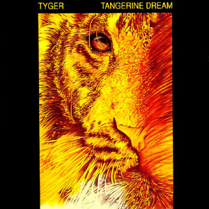 Tyger album