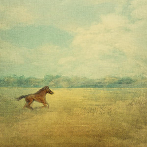 Land by Pinehills