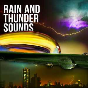 Clattering Rain Loop by Vira Callow