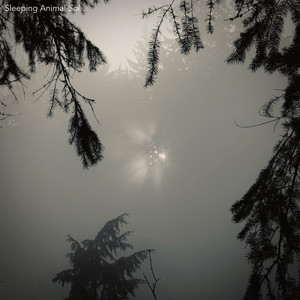 Portada de Sol, Pt. 3