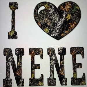NENE (Juanpa Gordoa Remix) by Sajiva, Juanpa Gordoa