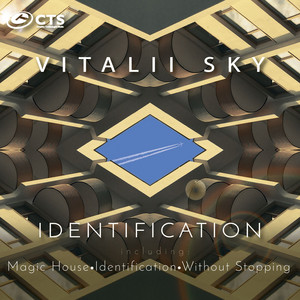 Vitalii Sky — Identification