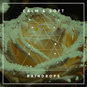# 1 Album: Calm & Soft Raindrops album
